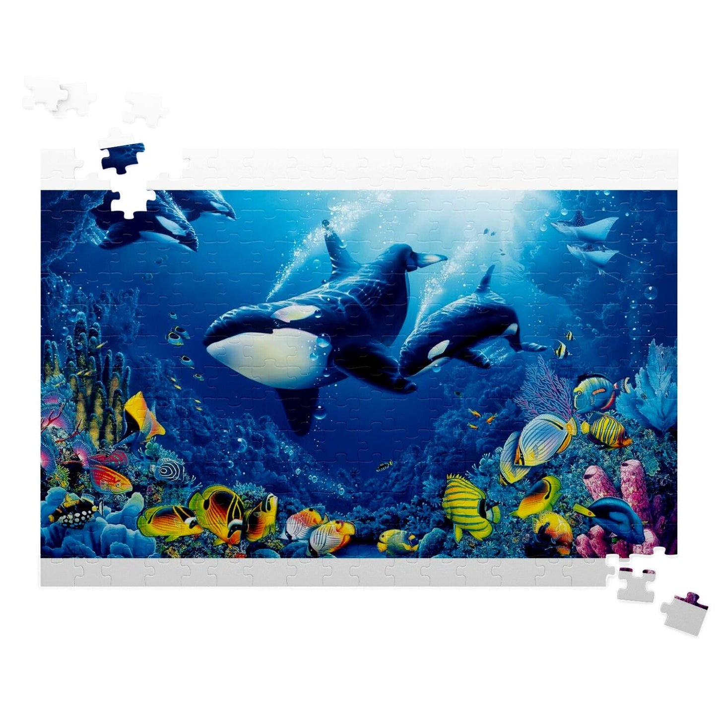 Dolphin Puzzle