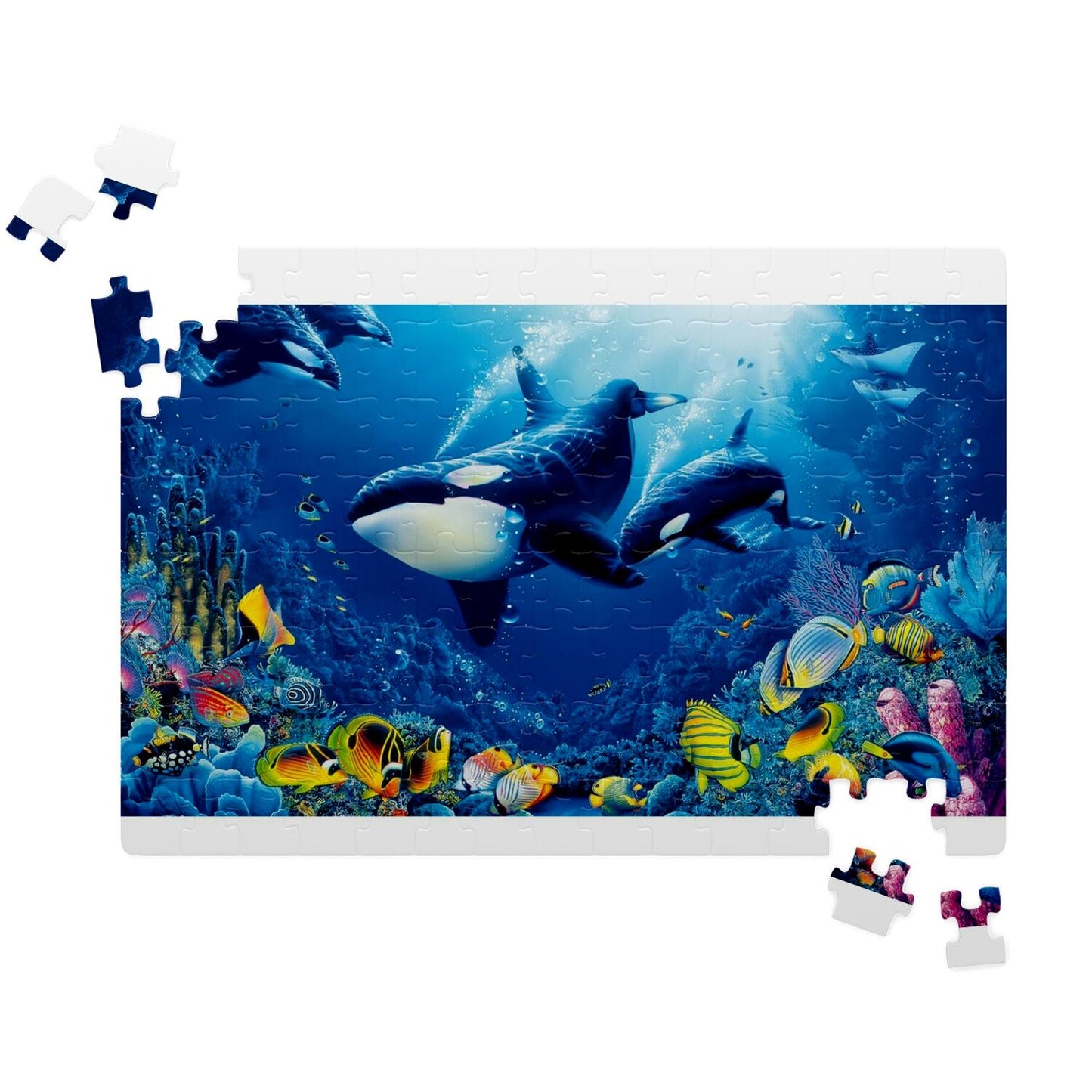 Dolphin Puzzle