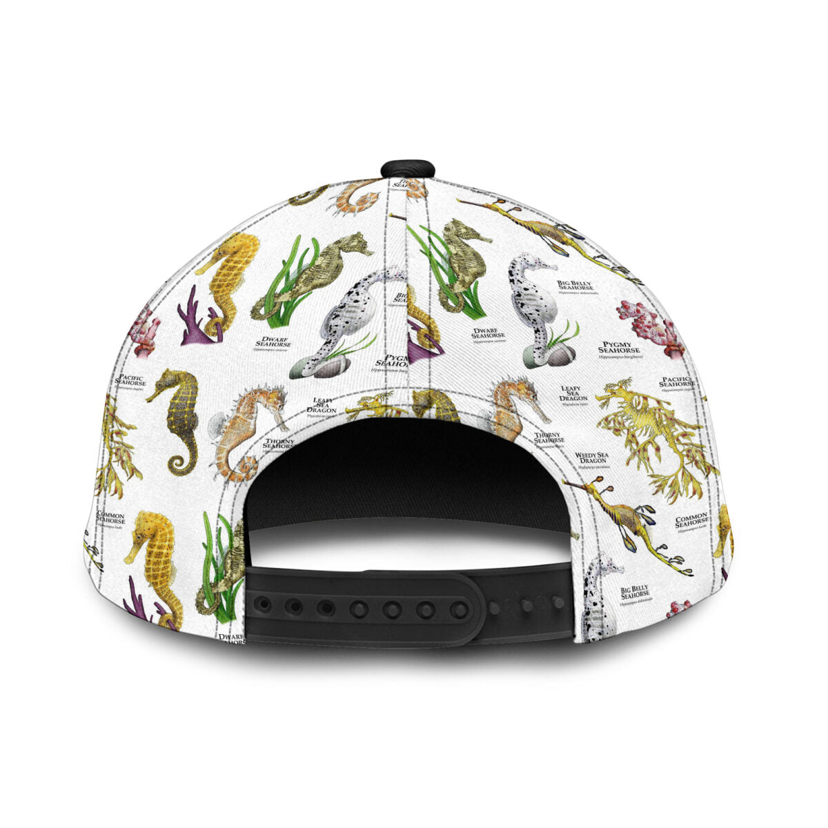 Seahorses And Seadragons Of The World Classic Cap
