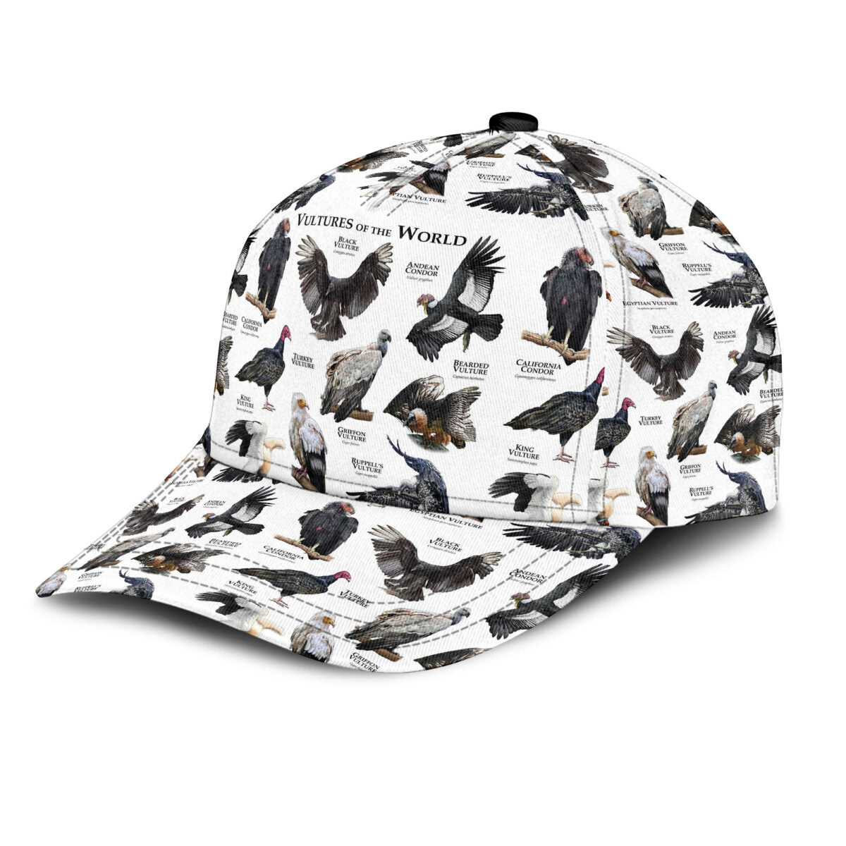 Vultures Of The World Classic Cap