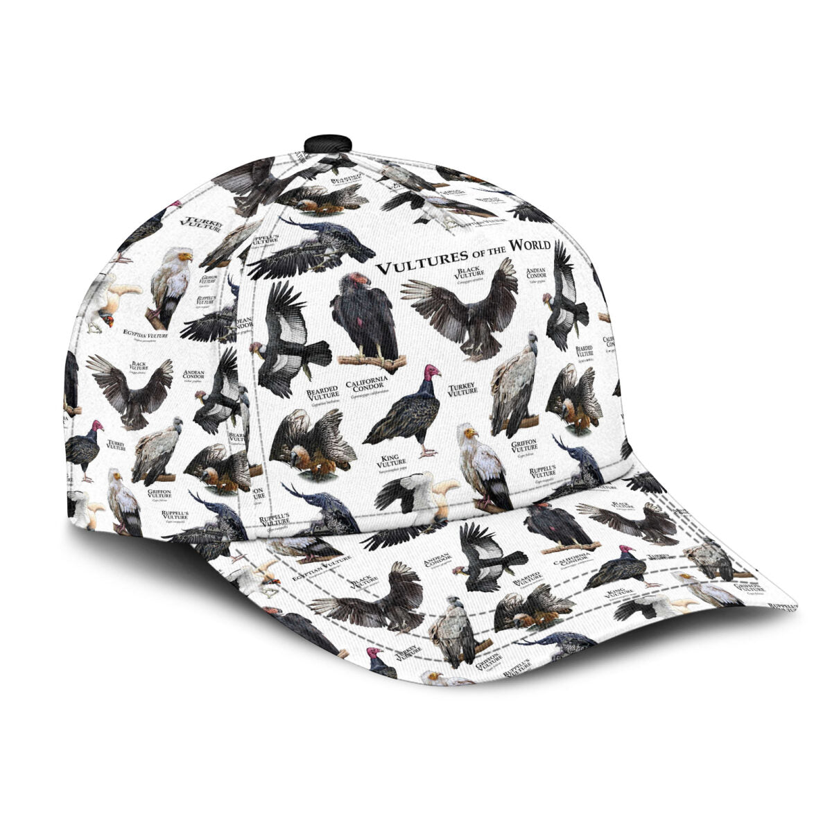 Vultures Of The World Classic Cap