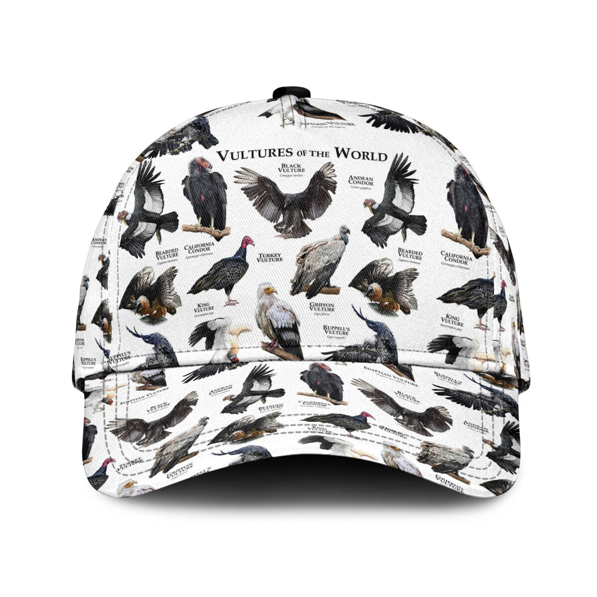 Vultures Of The World Classic Cap