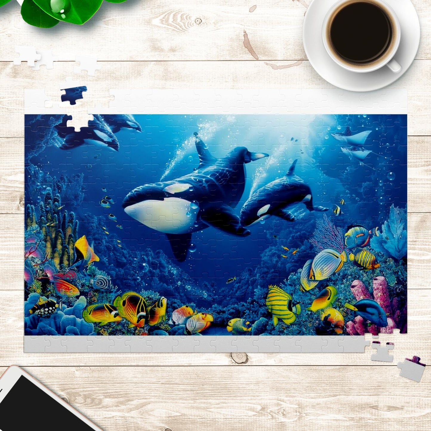 Dolphin Puzzle