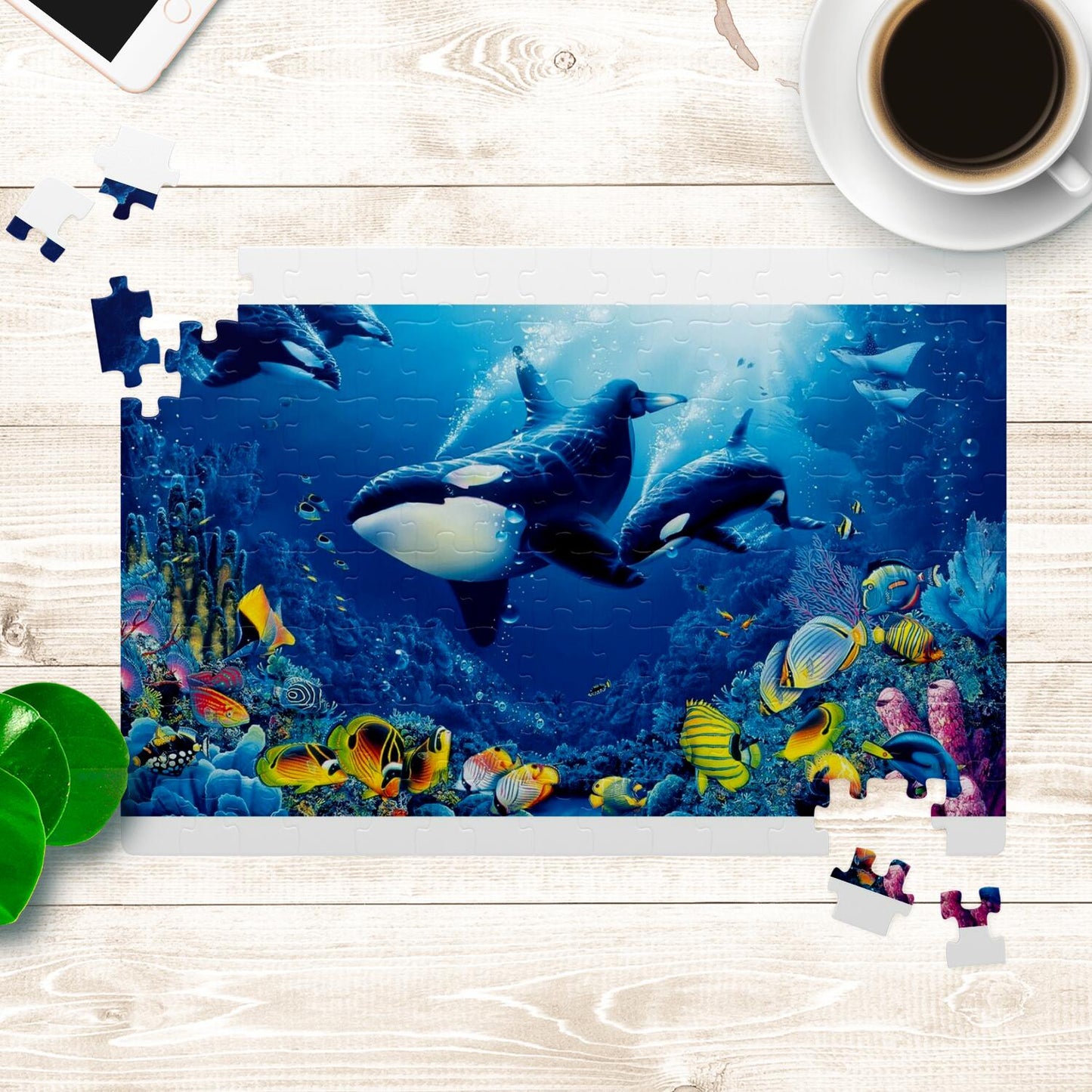 Dolphin Puzzle